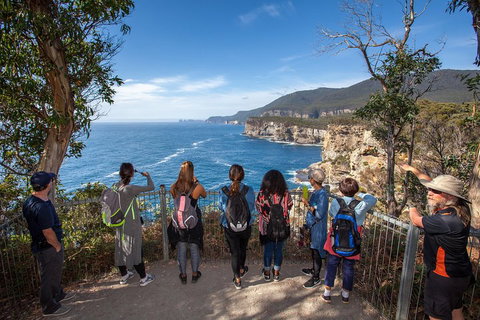 Port Arthur And Lavender Active Day Tour - Rental Cars 0