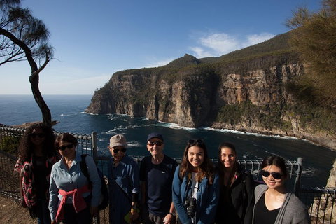 Port Arthur And Lavender Active Day Tour - Rental Cars 4