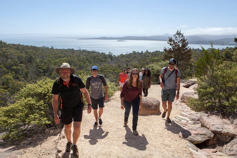 3-Day Tasmania Combo: Hobart To Launceston Active Tour - Rental Cars 3