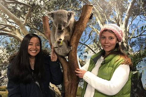 Australia Multi-City Attractions Pass - Rental Cars 3