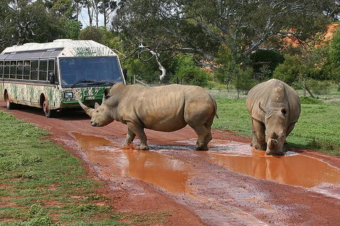 The Ultimate Melbourne Attractions Pass - Rental Cars 4