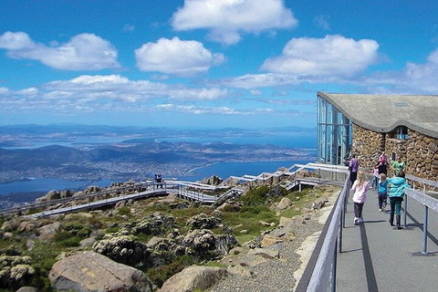 Mt Wellington Tour And MONA Admission - Rental Cars 1