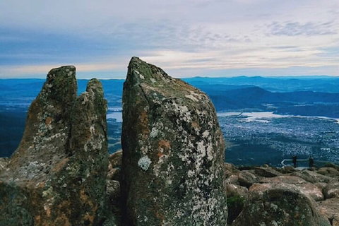 Mt Wellington Tour And MONA Admission - Rental Cars 2