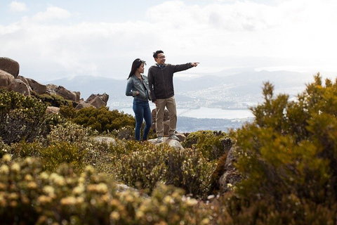 Mt Wellington Tour And MONA Admission - Rental Cars 5