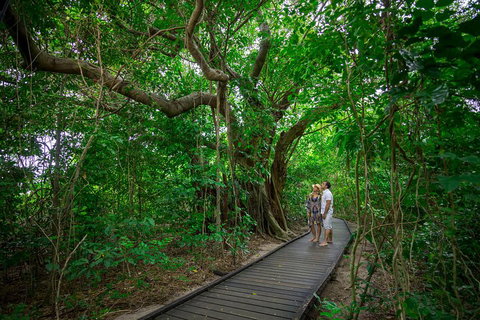 Green Island Day Trip Including Seawalker Helmet Dive COMBO - Rental Cars 1