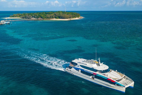 Green Island Day Trip Including Seawalker Helmet Dive COMBO - Rental Cars 2
