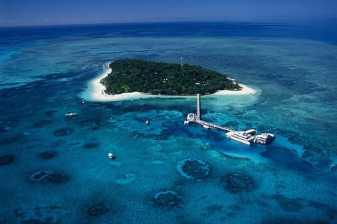 Green Island Day Trip Including Seawalker Helmet Dive COMBO - Rental Cars 5