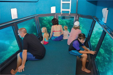 Great Barrier Reef Adventure From Cairns - Rental Cars 1