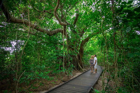 Green Island Eco Adventure From Cairns - Rental Cars 0