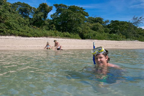 Green Island Eco Adventure From Cairns - Rental Cars 3