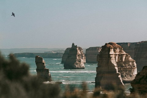 Half-Day Or Full-Day Tour With Private Guide From Melbourne - Rental Cars 0