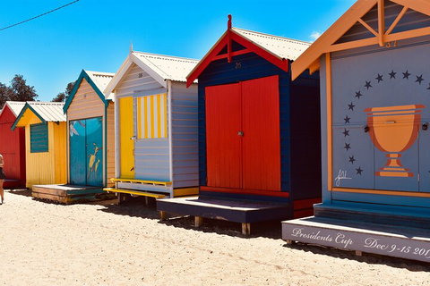Half-Day Or Full-Day Tour With Private Guide From Melbourne - Rental Cars 3
