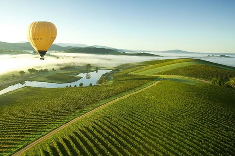 Half-Day Or Full-Day Tour With Private Guide From Melbourne - Rental Cars 4