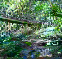 Double Pack-Ancient Rainforest and Waterfalls - Rental Cars