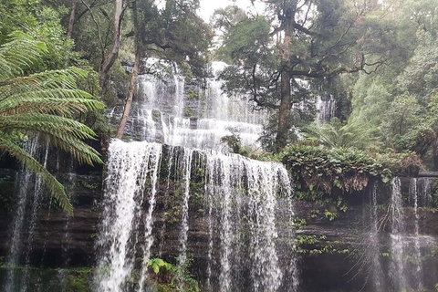 6-Day Hearty Tasmania Tour (Tasmania In A Circle) - Rental Cars 0