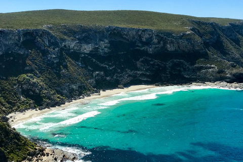 Kangaroo Island Scenic Trail Tour - Rental Cars 4