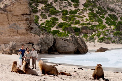 Kangaroo Island Scenic Trail Tour - Rental Cars 5
