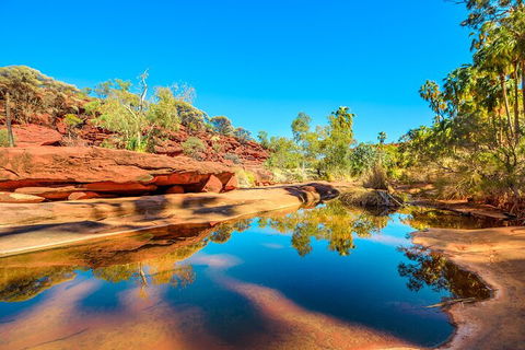 7-Day Guided Tour Of Alice Springs With Accommodation Included - Rental Cars 1