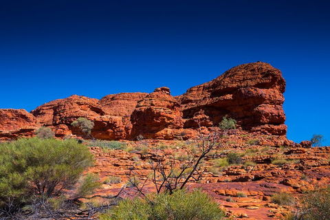 7-Day Guided Tour Of Alice Springs With Accommodation Included - Rental Cars 4