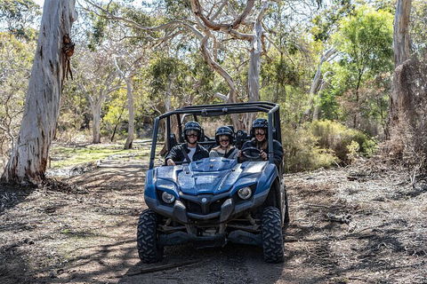 Small-Group Buggy Tour At Little Sahara With Guide - Rental Cars 0