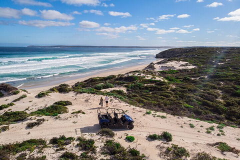 Small-Group Buggy Tour At Little Sahara With Guide - Rental Cars 1