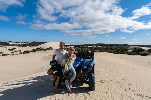 Small-Group Buggy Tour At Little Sahara With Guide - Rental Cars 2