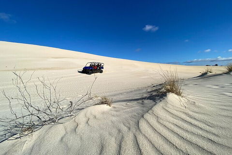 Small-Group Buggy Tour At Little Sahara With Guide - Rental Cars 3