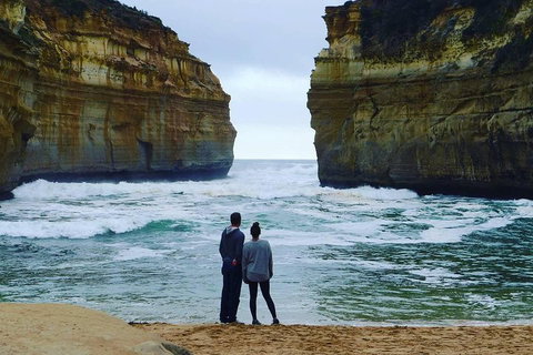 Great Ocean Road Small-Group Ecotour From Melbourne - Rental Cars 1