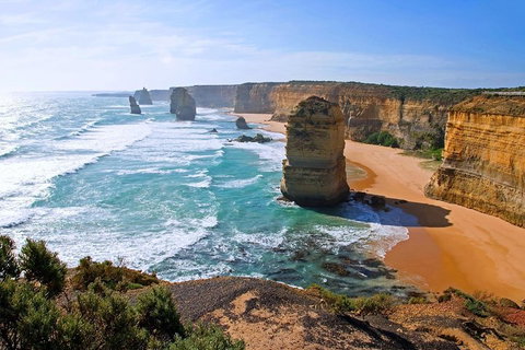 Great Ocean Road Small-Group Ecotour From Melbourne - Rental Cars 2