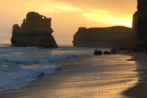 Great Ocean Road Small-Group Ecotour From Melbourne - Rental Cars 5