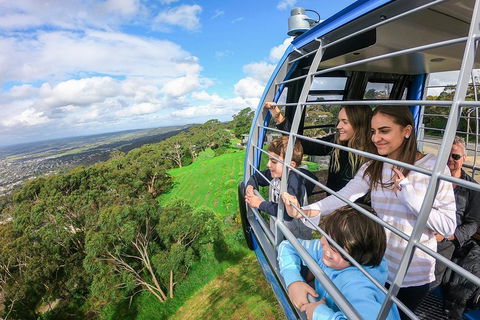 Peninsula Hot Springs Tour With Restaurant Lunch & Gondola Ride - Rental Cars 0