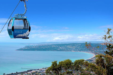 Peninsula Hot Springs Tour With Restaurant Lunch & Gondola Ride - Rental Cars 1
