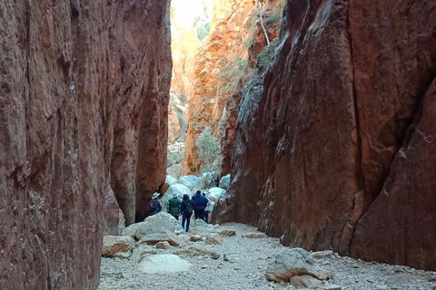 West MacDonnell Private Tour With Transfer - Rental Cars 0
