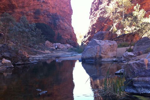 West MacDonnell Private Tour With Transfer - Rental Cars 2