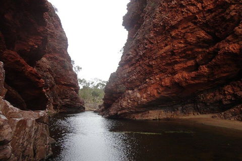 West MacDonnell Ranges Half - Day Tour - Rental Cars 4
