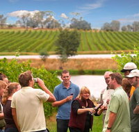 Yarra Valley Wine and Winery Tour from Melbourne - Rental Cars