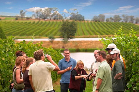 Yarra Valley Wine And Winery Tour From Melbourne - Rental Cars 0