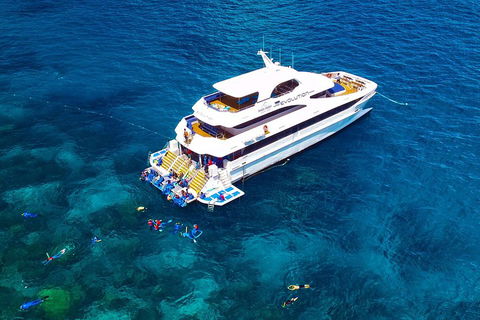 Great Barrier Reef Snorkeling And Diving Cruise From Cairns - Rental Cars 5