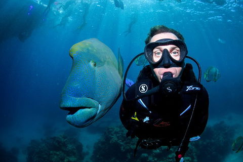 Full Day Reef Cruise Including 10 Minute Heli Scenic Flight: Get High Package - Rental Cars 1