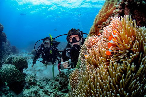 Full Day Reef Cruise Including 10 Minute Heli Scenic Flight: Get High Package - Rental Cars 5