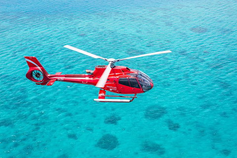 Cruise To Moore Reef Pontoon And Return Helicopter Flight From Cairns - Rental Cars 1