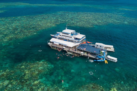 Cruise To Moore Reef Pontoon And Return Helicopter Flight From Cairns - Rental Cars 2