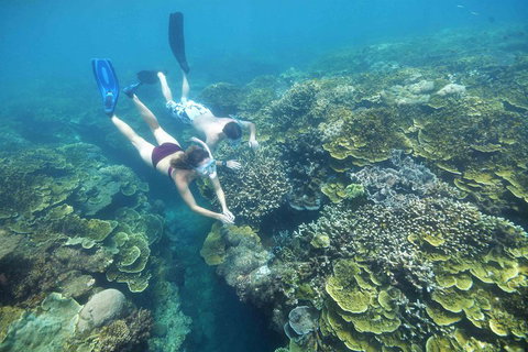 Cruise To Moore Reef Pontoon And Return Helicopter Flight From Cairns - Rental Cars 3