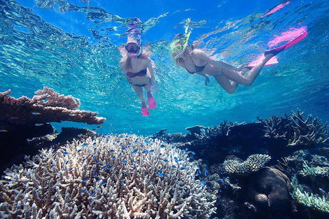 Cruise Out And Cruise Return, Plus 10 Minute Scenic Flight - Rental Cars 5