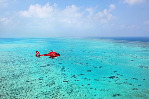 Great Barrier Reef 30-Minute Scenic Helicopter Tour From Cairns - Rental Cars 2