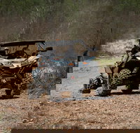 Octopussy 1.5 hour off-road tour in Darwin 1 person in 2 seater - Rental Cars