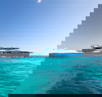 Fremantle to Rottnest Island Roundtrip Ferry Ticket - Rental Cars