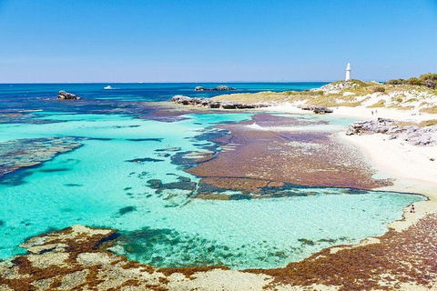 Rottnest Island All-Inclusive Grand Island Tour From Fremantle - Rental Cars 1