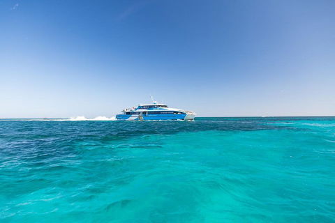 Rottnest Island Bike & Ferry Package From Fremantle - Rental Cars 0