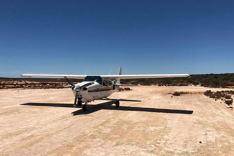 Kalbarri Gorges & West Coast - Ground & Air Tour - Rental Cars 4